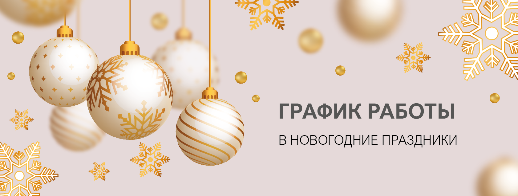 График работы в Новогодние праздники 2025-2026 г.